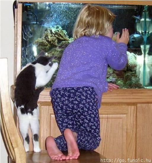 kids-pets-6.jpg