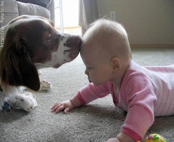 kids-pets-8.jpg