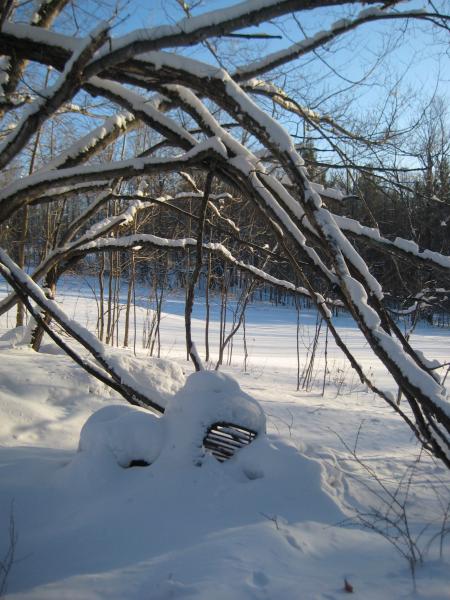 car_graveyard_winter_2009.jpg