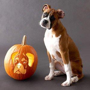 halloween_dogs_5.jpg