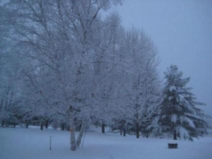 winter_1_2009.jpg