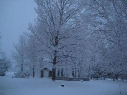 winter_2_2009.jpg