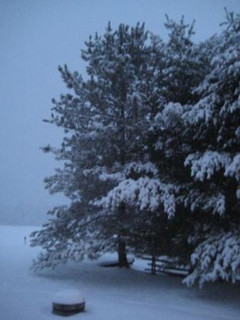 winter_3_2009.jpg