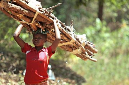 malawi_girl_w_wood_cs_9821.jpg