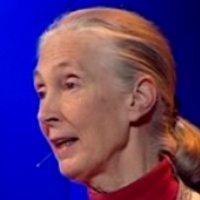 jane_goodall2.jpg